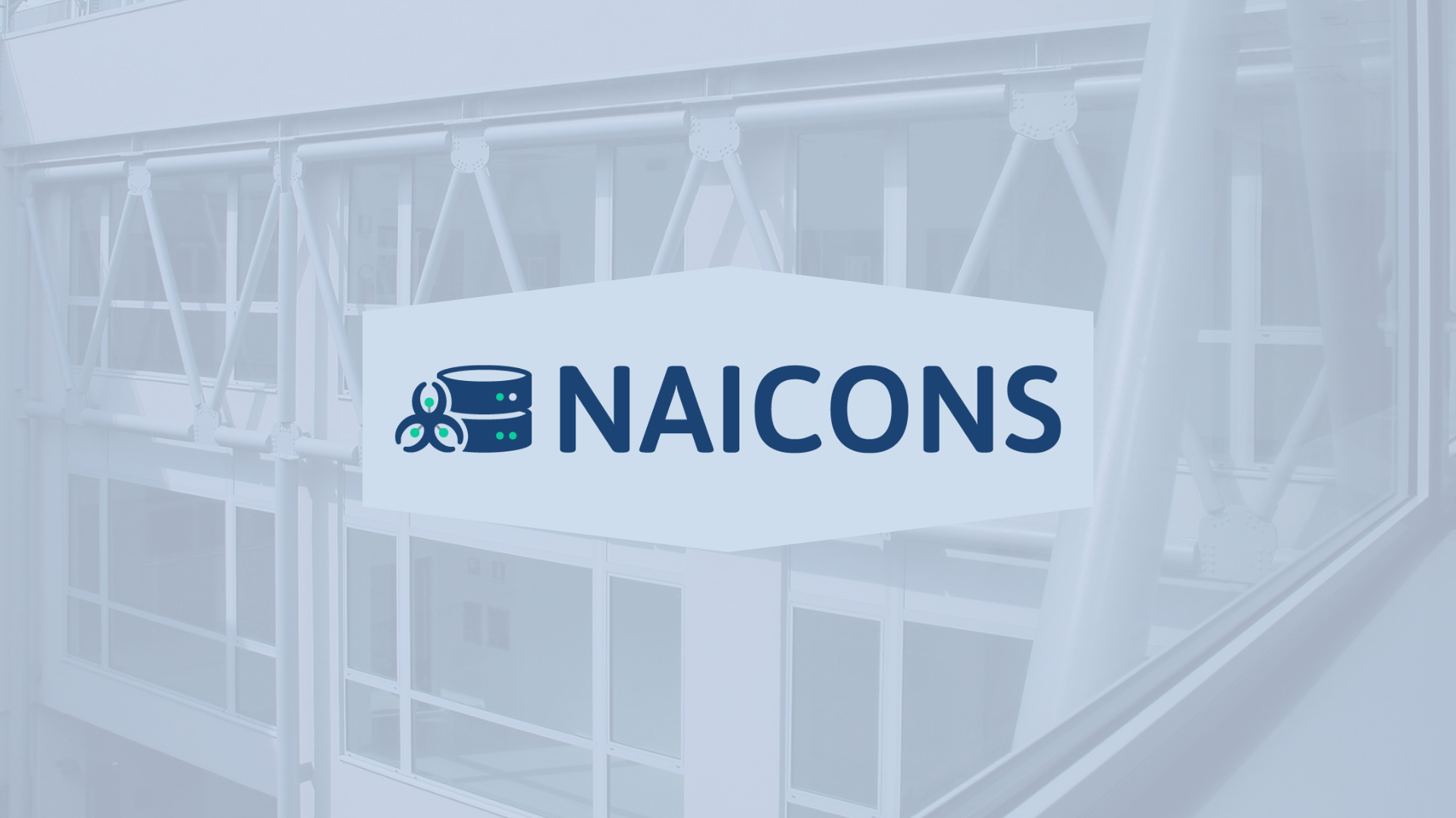 logo Naicons